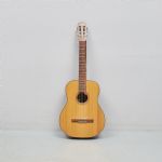 1318 5038 Gitarr
